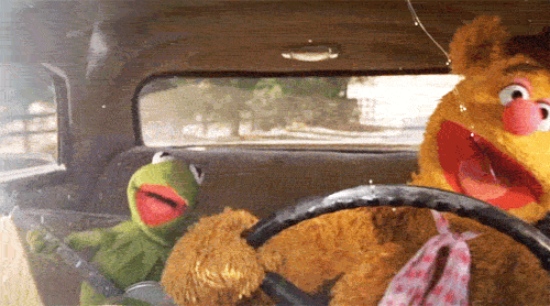 GIF of Fonzy Bear and Kermit in the Car
